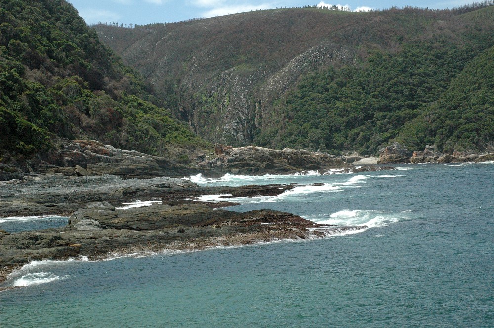 DSC_0077.JPG - Tsitsikamma National Park.