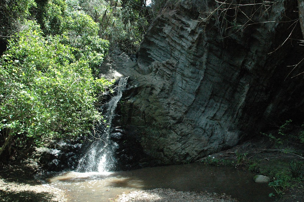 DSC_0079.JPG - Tsitsikamma National Park.