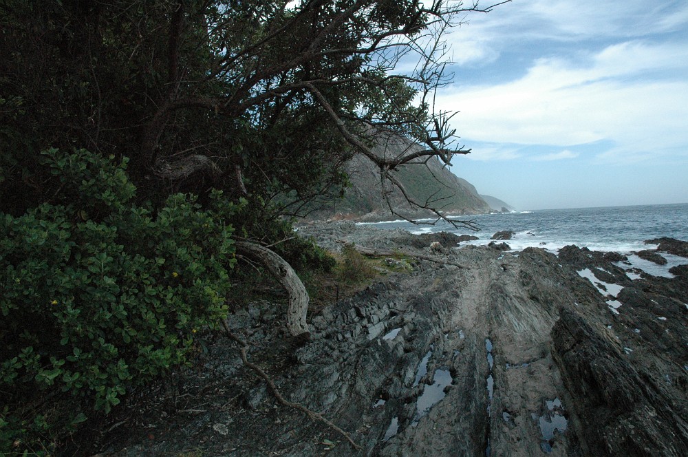 DSC_0084.JPG - Tsitsikamma National Park.