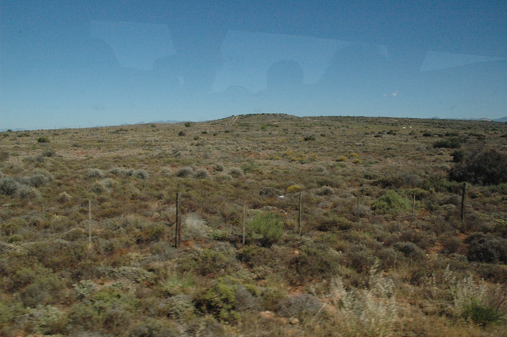 DSC_0174.JPG - Klein Karoo ørkenen ved Oudtshoorn.