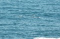 DSC_0249_udsnit