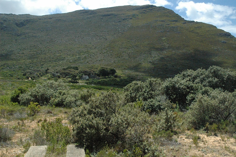 DSC_0365.JPG - Cape Peninsula National Park.