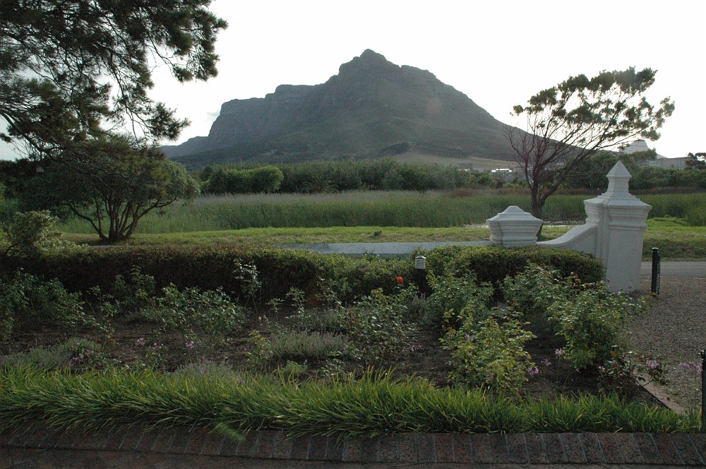 DSC_0460.JPG - Courtyard Suite Hotel & Devil's Peak, Cape Town.