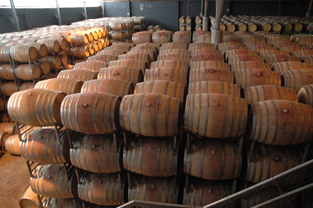 DSC_0503.JPG - Winelands & Nederburg.