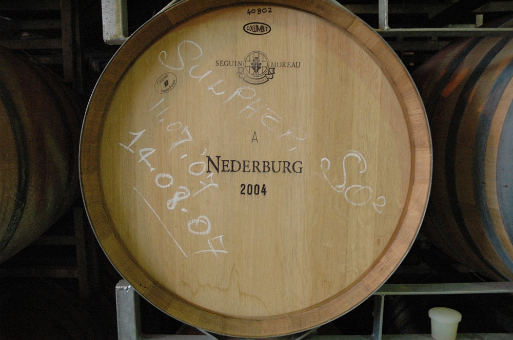 DSC_0505.JPG - Winelands & Nederburg.