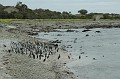 DSC_0491_udsnit