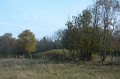 DSC_6316_mkf
