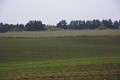 DSC_6335_lk