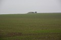 DSC_6337_lk
