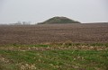 DSC_6338_lk