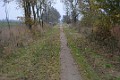 DSC_6339_mfk