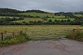 DSC_0106