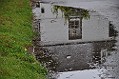 DSC_0109