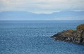 DSC_0158_edit