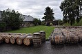 DSC_0197
