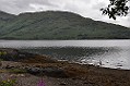 DSC_0225