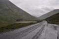 DSC_0234