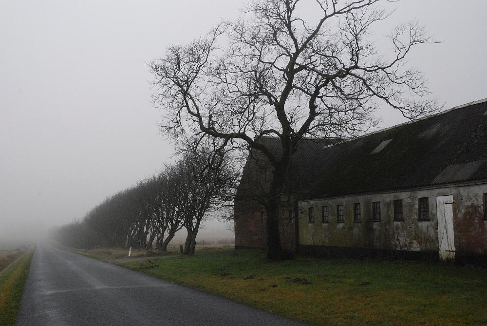 _DSC0254.JPG - Vejen fra Ravnsø mod Grimstrup.