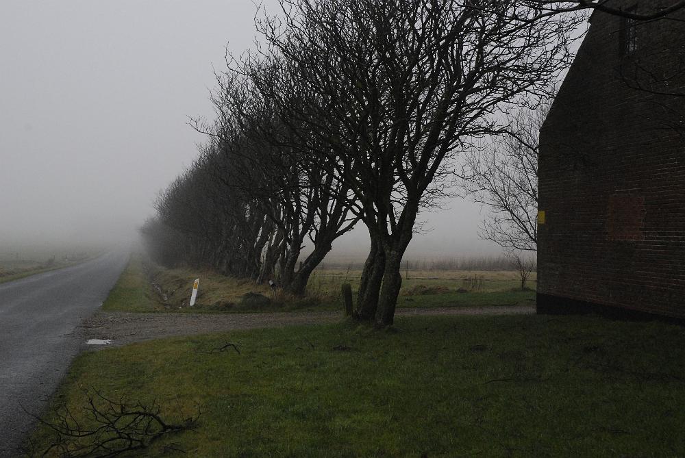 _DSC0255.JPG - Vejen fra Ravnsø mod Grimstrup.