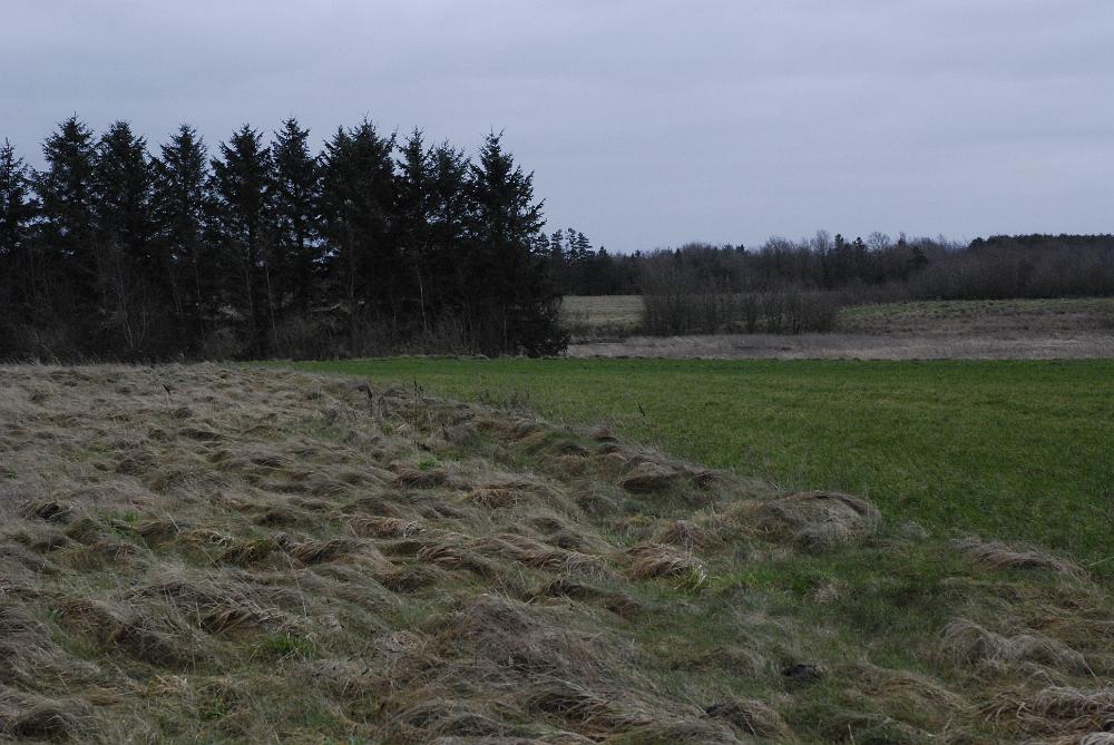 _DSC0368.JPG - Tomp Mølle.