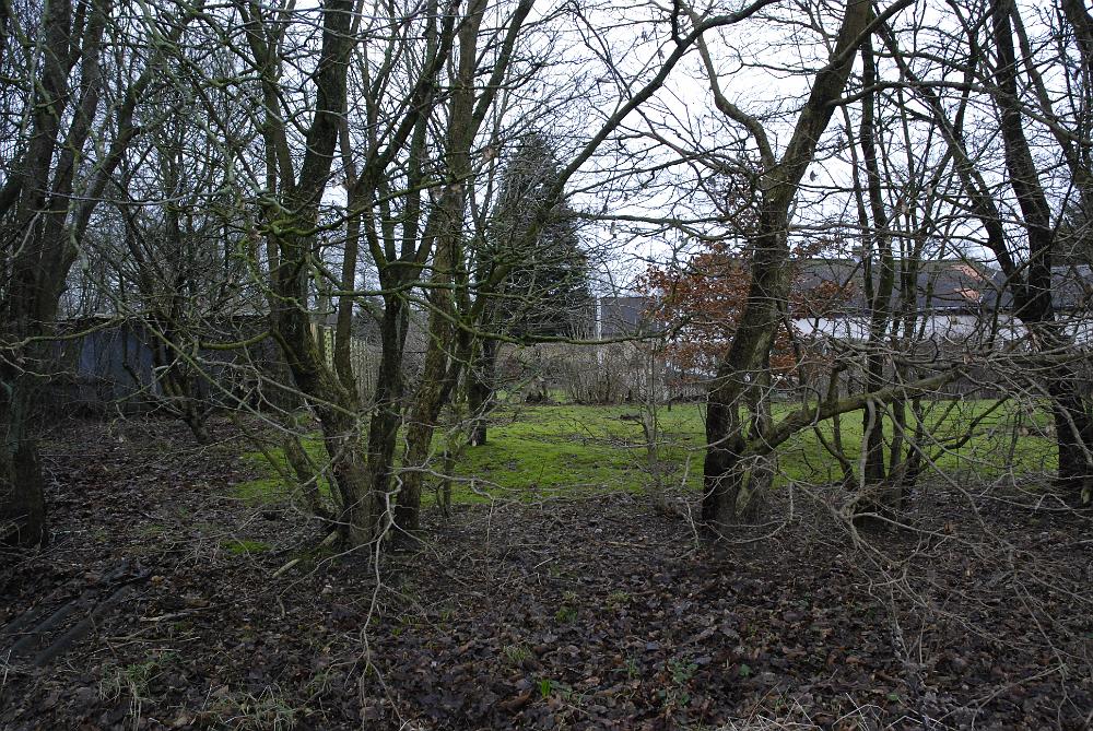 _DSC0379.JPG - Her lå indtil 1942 Grene Mølle.