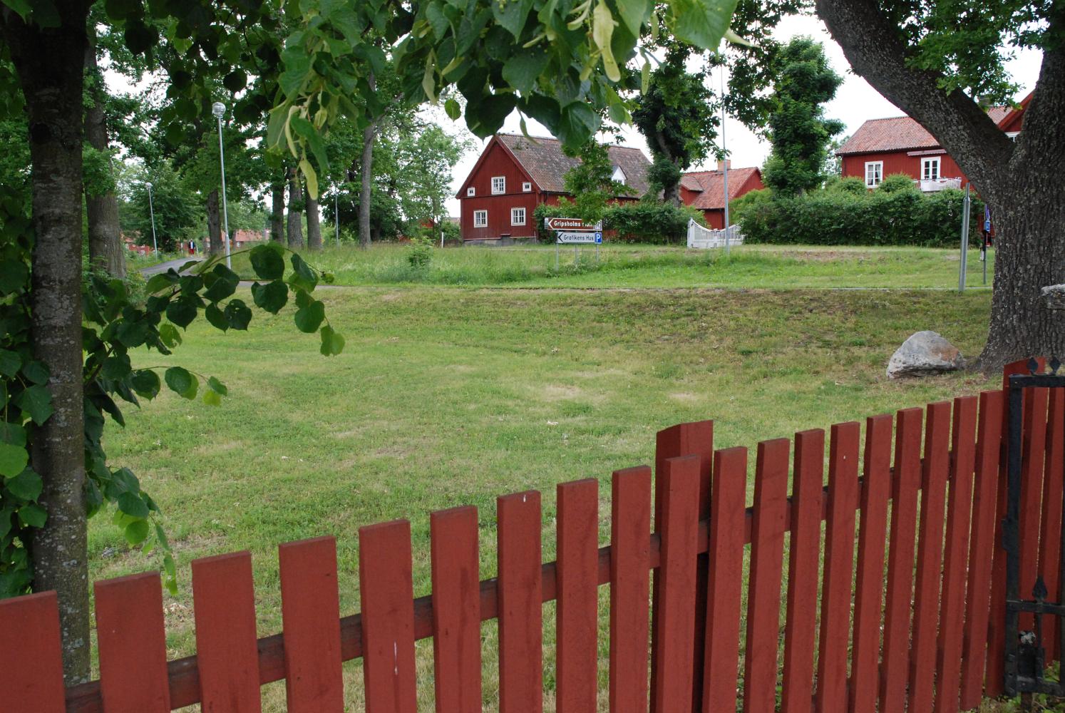DSC 1036