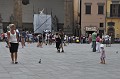DSC_0567_c