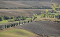 DSC_4573_mkfcr