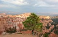 DSC_1215_k