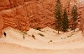 DSC_1079_lc