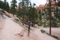 DSC_1090_k