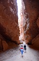 DSC_1105_ck