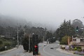 DSC_1650_m