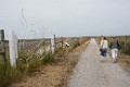 DSC_1666_lk