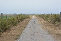 DSC_1682_k