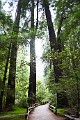 DSC_1764_l