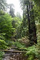 DSC_1766_l
