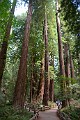 DSC_1767_k