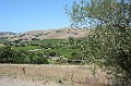 DSC_1794_k