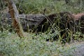 DSC_1502