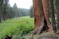 DSC_1558_k