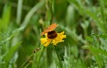 DSC_1563_ck