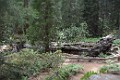 DSC_1570_k