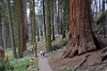 DSC_1576_k