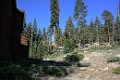 DSC_1598_m