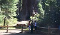 DSC_1608_l_c