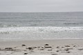 DSC_1623_k