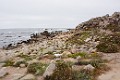 DSC_1627_lk
