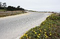 DSC_1630_lr