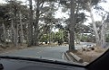 DSC_1631_ck